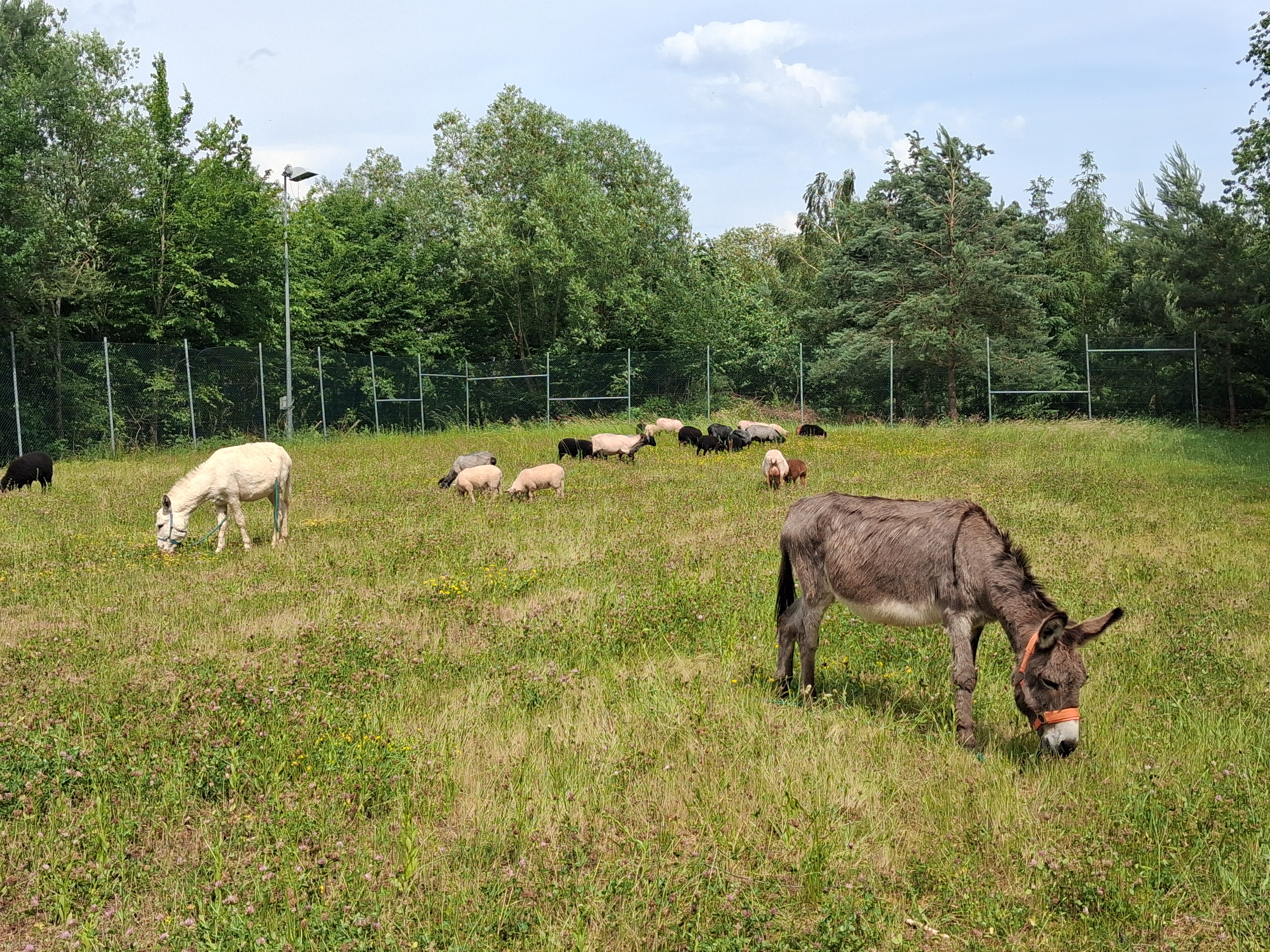 Impression vom 31.05.2026