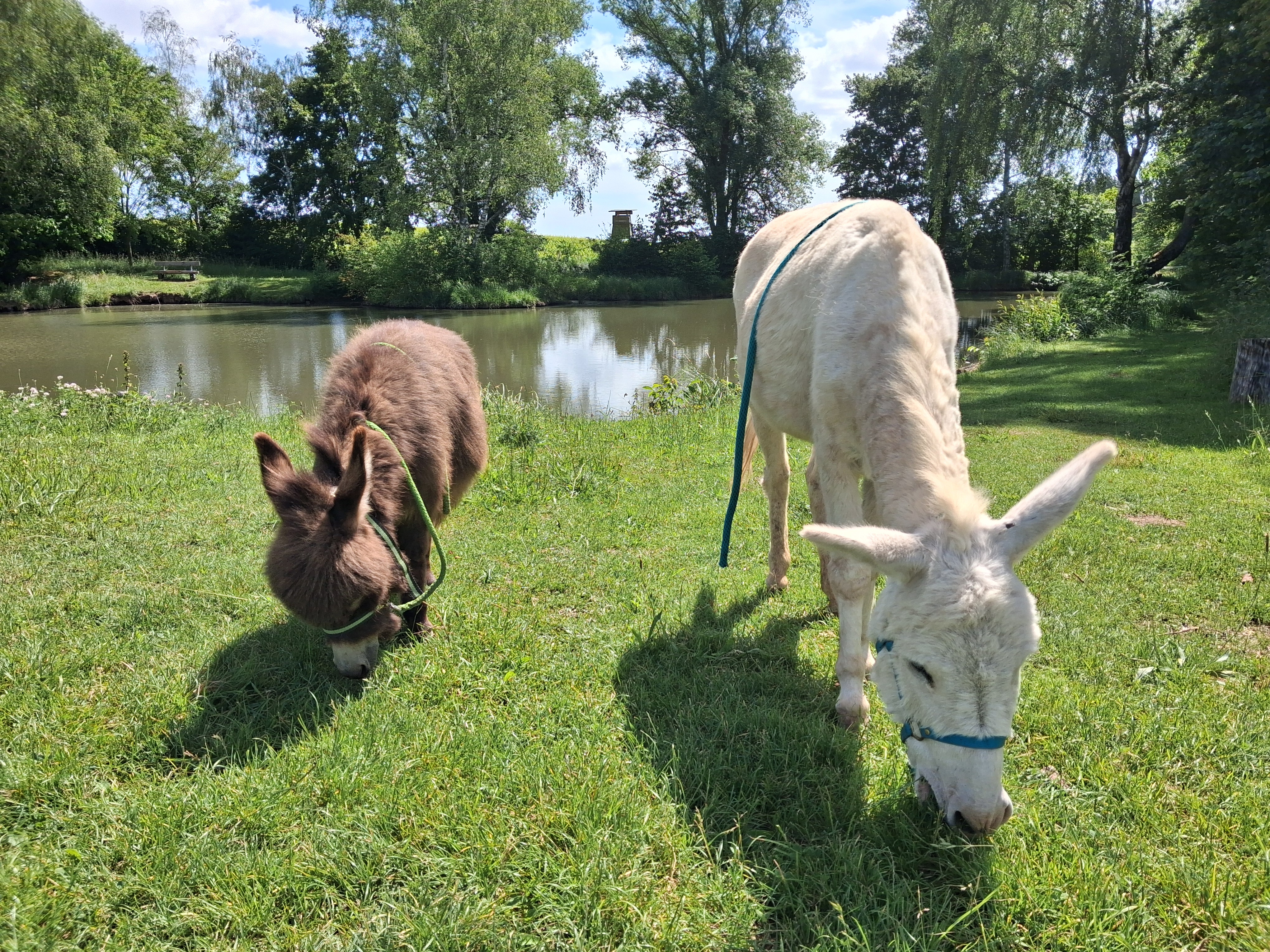 Impression vom 07.06.2026