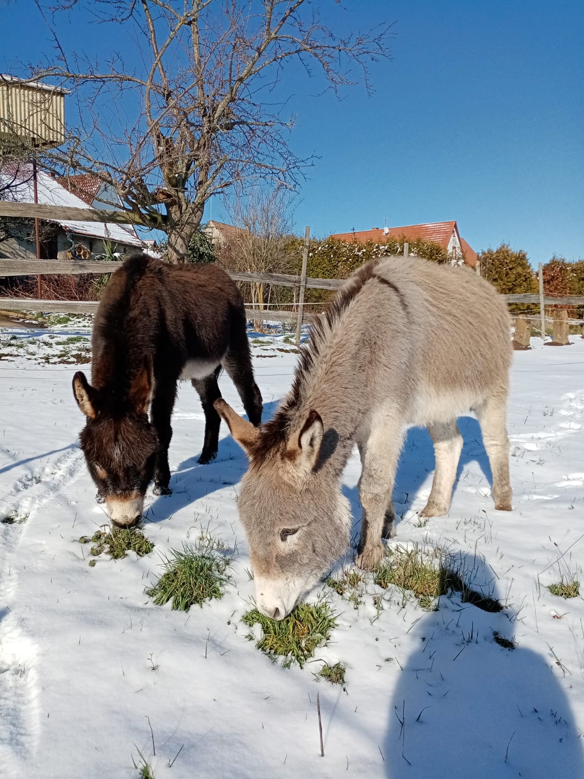 Impression vom 06.02.2022
