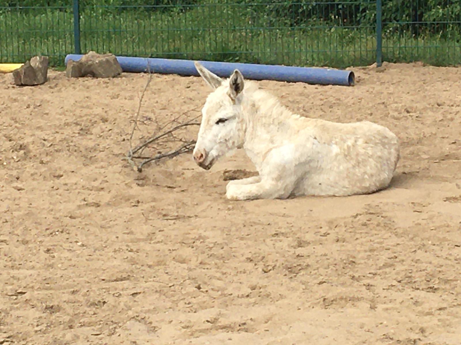 Impression vom 08.08.2022